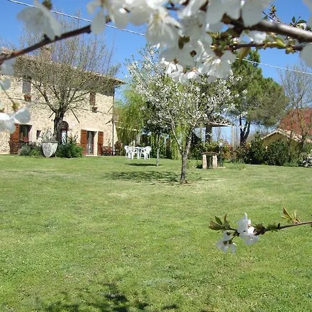 Fattoria Il Bruco