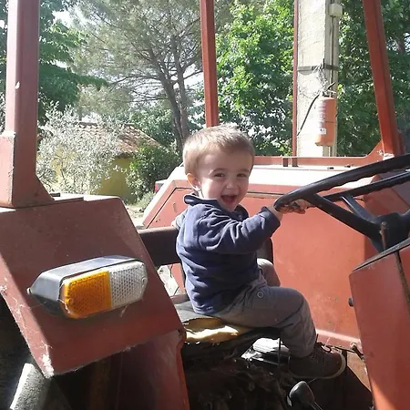 Fattoria Il Bruco ファームステイ *